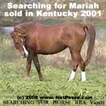 SEARCHING FOR HORSE RBA Vanity`s Grace, Near unknown, KY, 00000